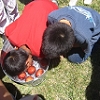 Who's this bobbing for apples?