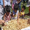 Haystack game...find as many prizes as you can!
